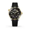 Omega Seamaster Diver 300m Co-axial Master Chronometer Black Gold 42mm