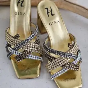 GINA