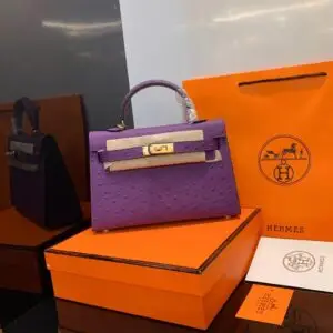 HERMES 21CM