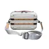 LV Trunk Bag