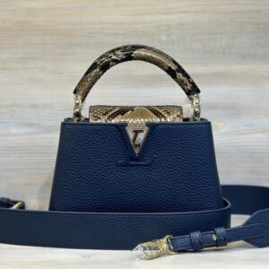 Design Capucines MM bag - Dubai Fashion LUX