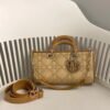 Dior Lady D-Joy Cloth Handbag